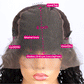 13x6 Transparent Lace Front 5x5 Glueless Curly Human Hair Wigs 33# Auburn Reddish Brown Colored Wigs
