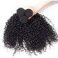 10A Jerry Curly Human Hair 3 Bundles With 5x5 Closure 100% Remy Human Hair